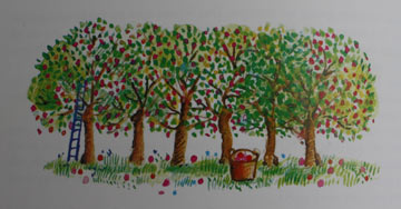 de-appelboom-vijgeboom-hoor-eens-even-IMG 8928