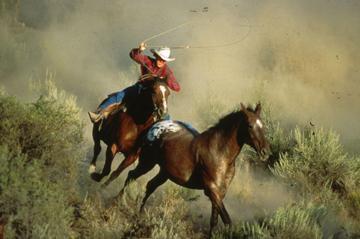 het wilde westen, cowboy met lasso