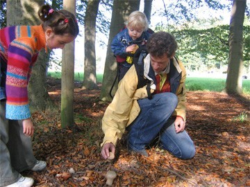 samen in het herfstbos