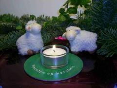 schaapjes wachten op kerstmis schaapjes wachten op kerstmis