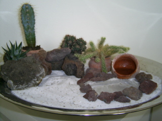 woestijn-paastuin + cactussen