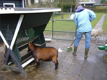 schoonmaken op de kinderboerderij