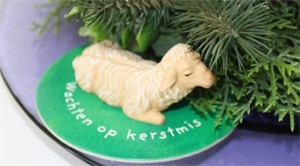 schaap wacht op onderzetter op kerstmis