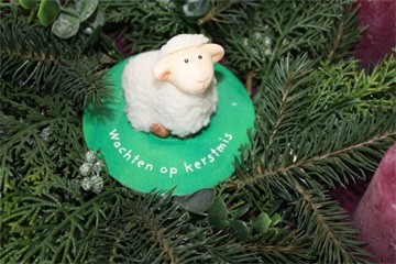 advent eerste zondag detail (schaapje) advent eerste zondag detal (schaapje)