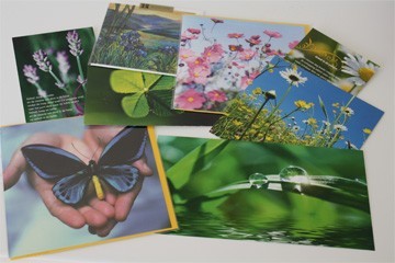 zomerkaarten, voor kijktafel 2011