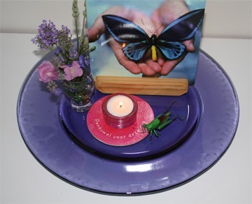 zomerkijktafel, vlinder in je hand + roze onderzetter