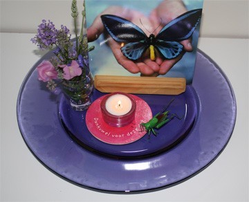 zomerkijktafel, vlinder in je hand + roze onderzetter zomerkijktafel, vlinder in je hand + roze onderzetter