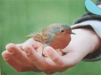 kijktafel de vogeltjesboom detail: afbeelding