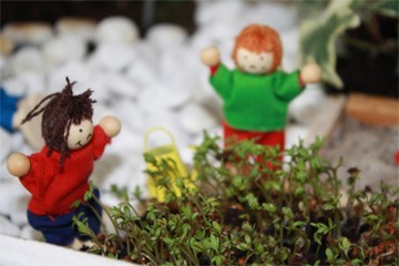 Hoera, zaadjes zijn opgekomen in de lentetuin Hoera, zaadjes zijn opgekomen in de lentetuin