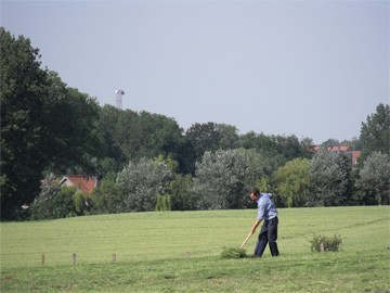 boer in weiland