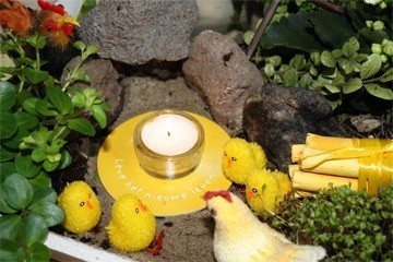 Pasen, open graf met gele onderzetter, kip, haan en kuikentjes