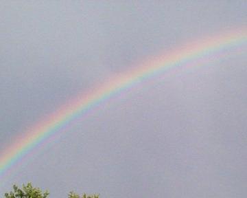 regenboog