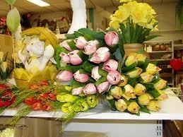 voorjaarsbloemen voorjaarsbloemen