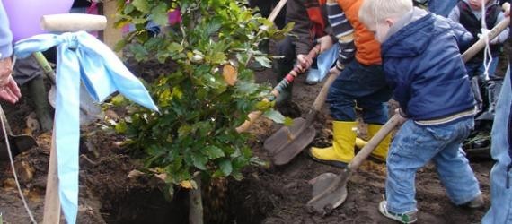 geboortebomen planten in herinneringsbos