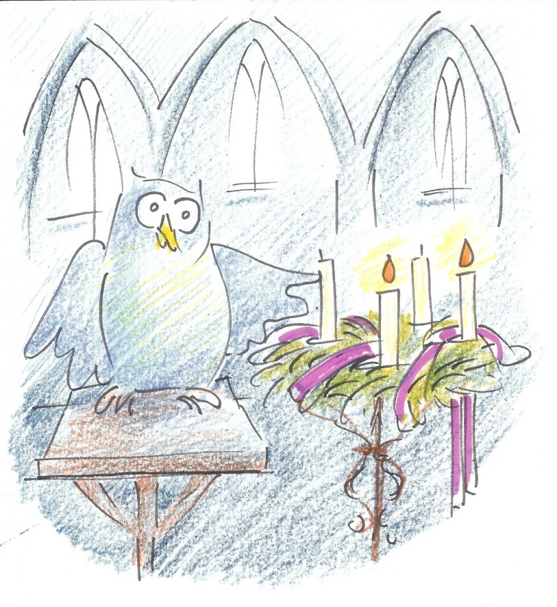 Kleine uil kerk