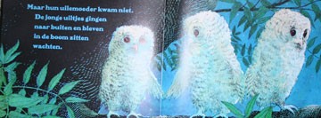 uilskuikentjes wachten