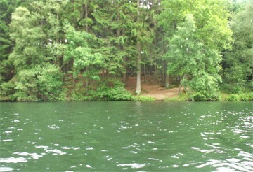meer, oever met bomen vanaf het water