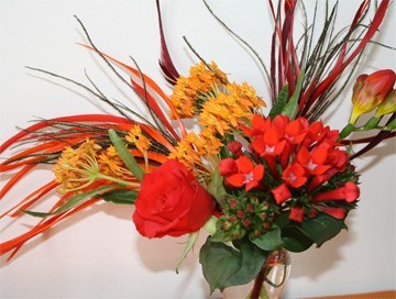 pinksterbloemen, rood/oranje, vuur pinksterbloemen, rood/oranje, vuur