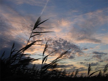 zon, wolken, tegenlichtopname