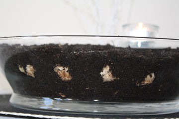 bolletjes-in-de-grond-I bolletjes-in-de-grond-I