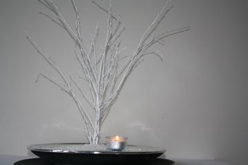 stille-grond-eenzame-boom-geheel- stille-grond-eenzame-boom-geheel-