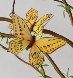 BvL-detail-vlinders-geel-IMG 6257