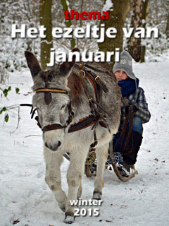 cover-2015-HetEzeltjeVanJanuari-1