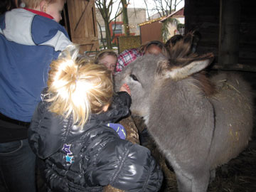 op-kinderboerderij-met-ezel-IMG 1604