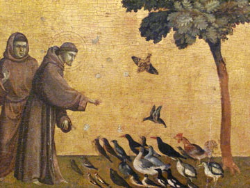 franciscus-met-vogels2