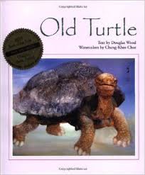 old turtle vk
