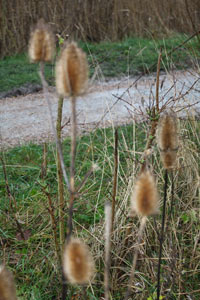 wandeling-18-IMG 8841