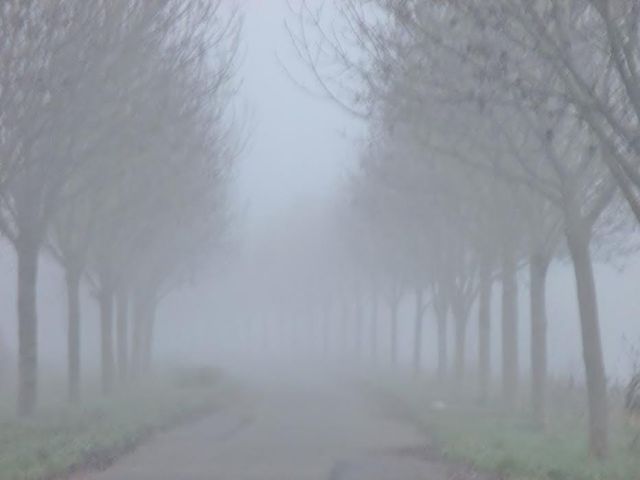 gevaarlijke mist