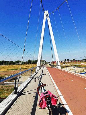 csm 2018 08 dafneschippersbrug zomer 568571d7c5