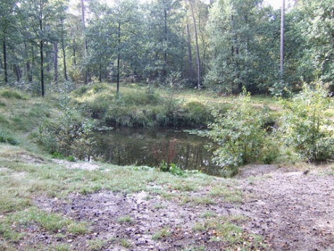 sprgenwandeling driebergen 