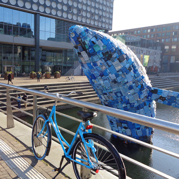 blue whale and blue bike