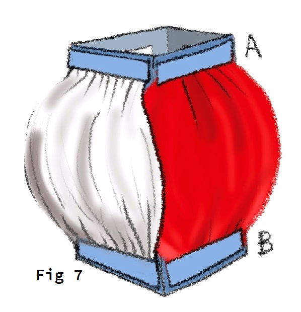 FIg 7 Tweede bolle zijkant wit