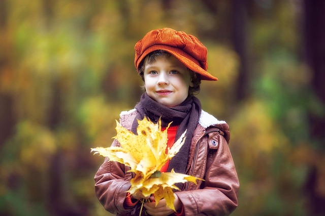 herfstbladeren pixabaysunriseforever the park 2967732 640