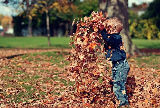 spelen herfstbladeren