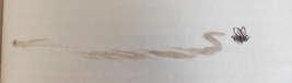 insecten raadsel klein