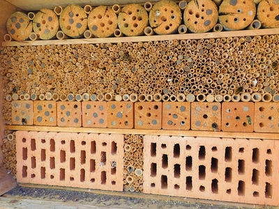 insectenhotel