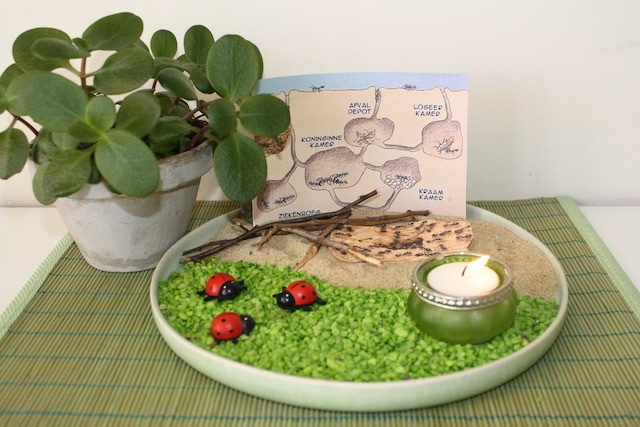 kijktafel mieren geheel