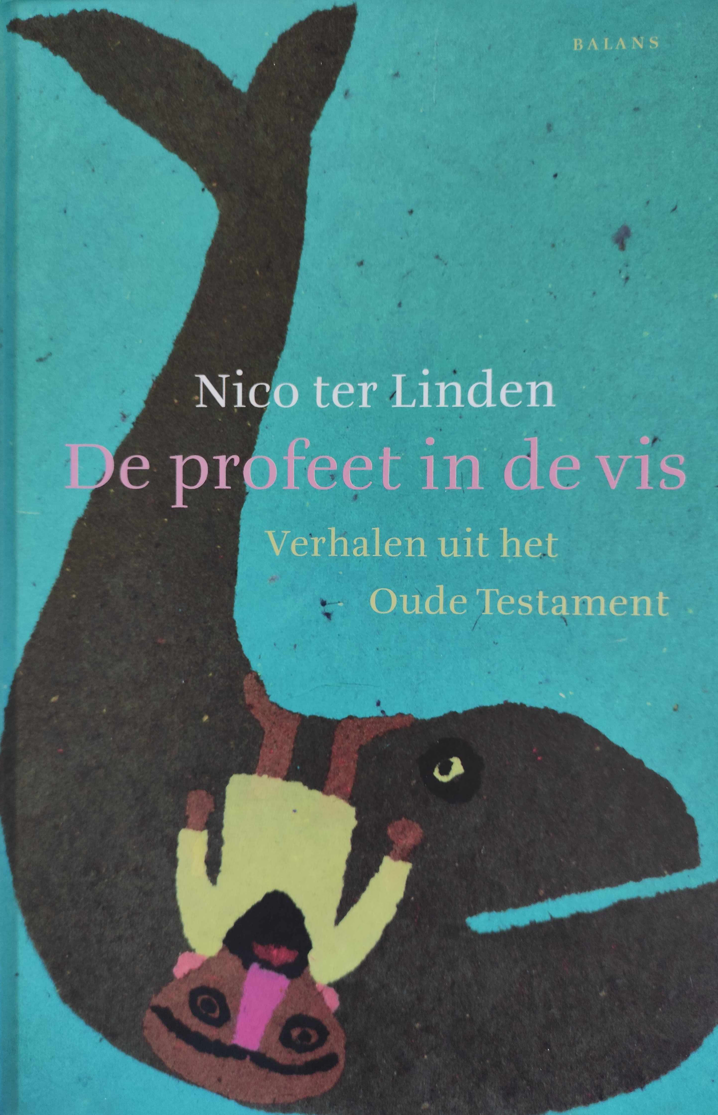 cover nico ter linden vis
