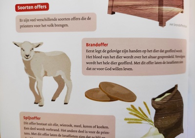 251110schapen offers