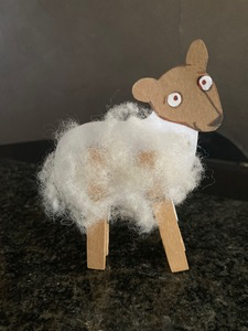 advent 2025 eindresultaat schaap wol