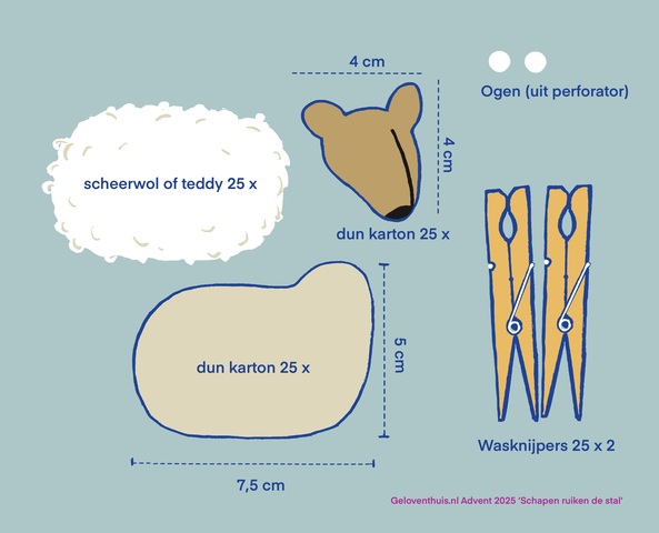 gt adventschaap model