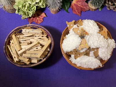 gt 15 adventschaap lijven wasknijpers los