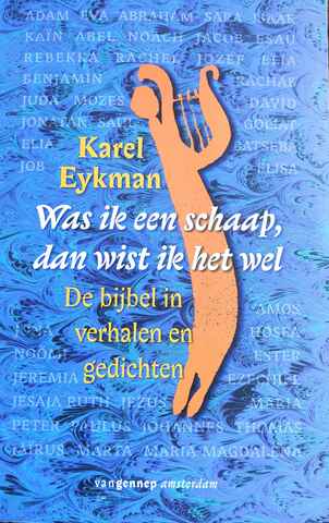 cover eykman schaap 