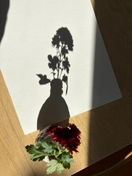 vaasje 2.1 chrysant