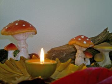 herfstkijktafel +blad+paddestoelen+lichtje